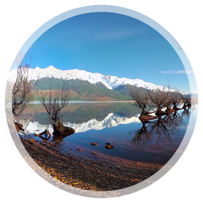 Panedia Experience New Zealand Panedia Experience New Zealand
